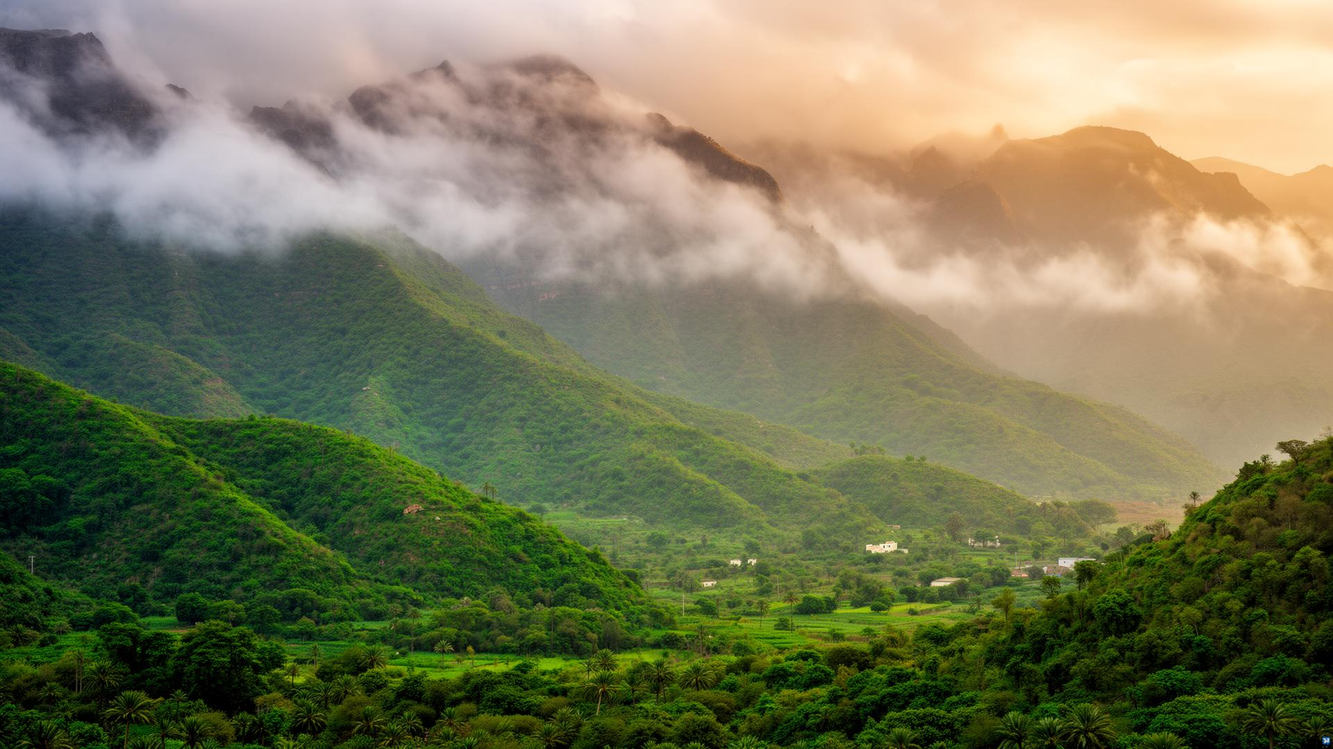 Salalah Khareef